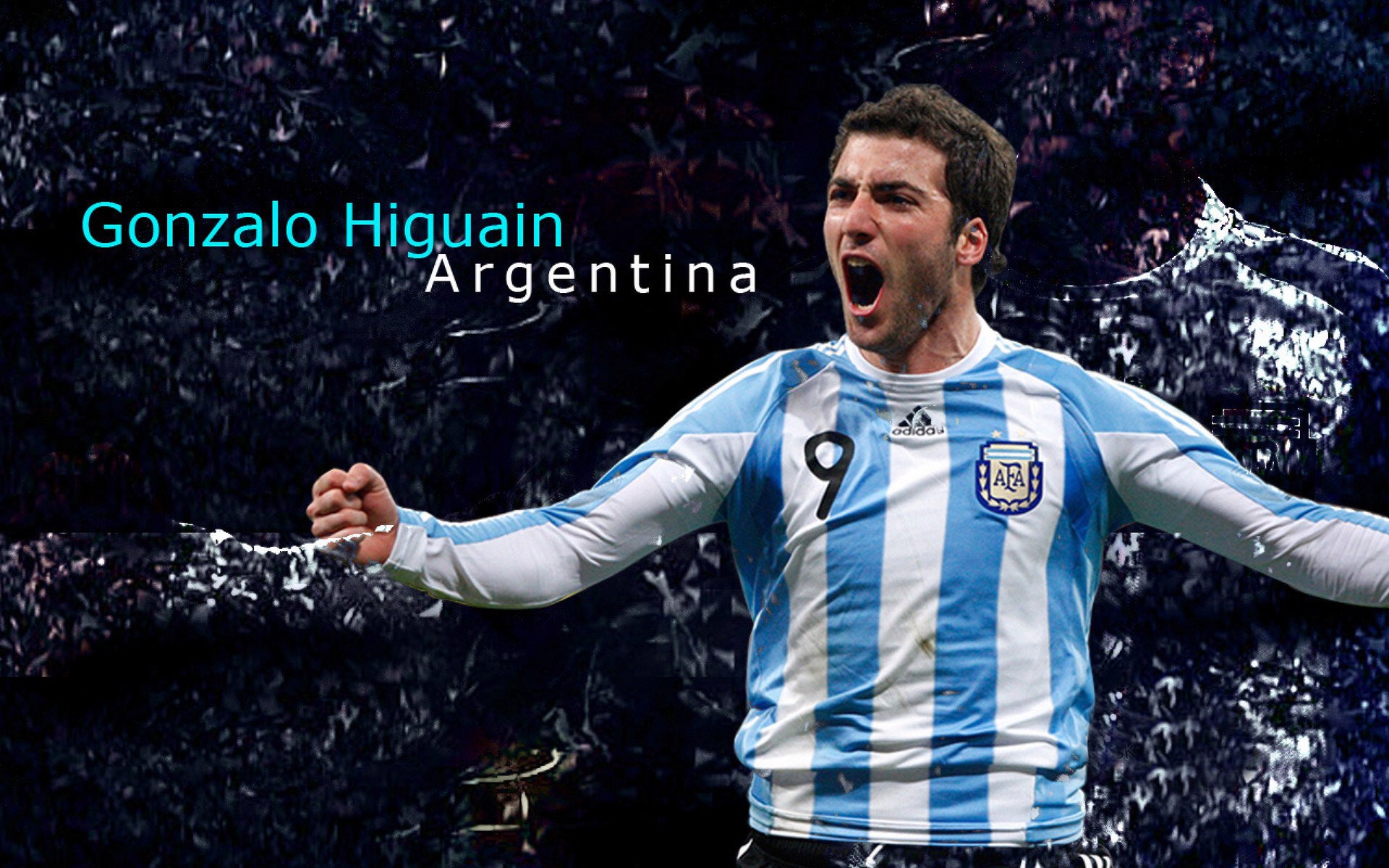 日本骑手吉塔·日特科维奇荣获2024年最佳障碍赛骑手奖，表彰其卓越表现。